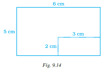 Page 267 Chapter 9 Class 7th NCERT Exemplar